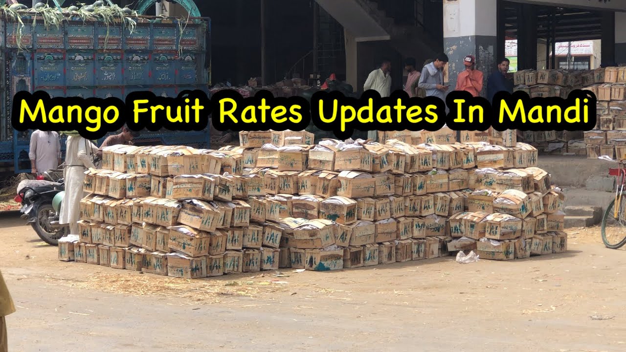 MANGO RATES UPDATE IN KARACHI FRUIT MANDI SUPERHIGHWAY 11/05/2024
