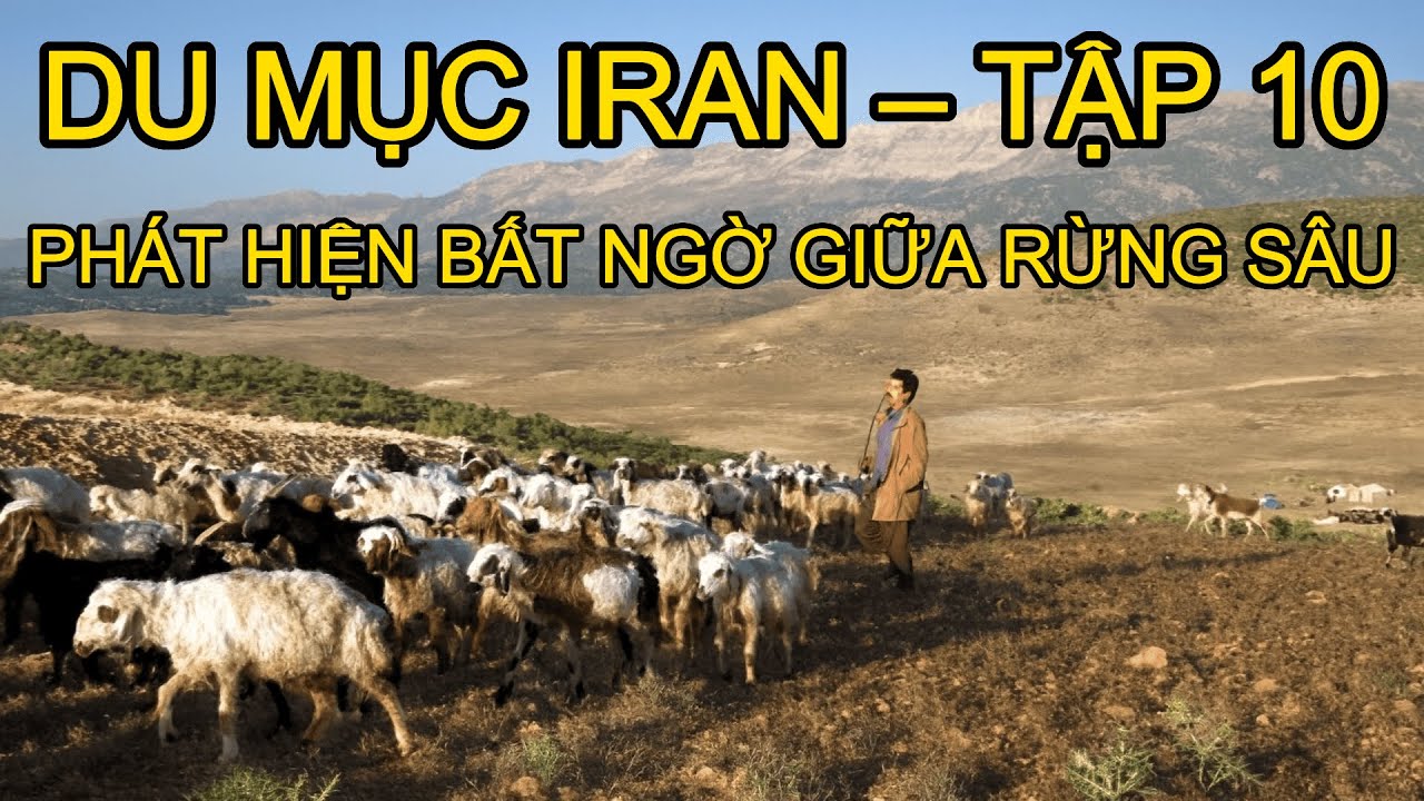 Du Mục Iran Tập 10: Bí Mật Núi Rừng – Giặt Thảm, Thu Hoạch Và Khám Phá Bất Ngờ