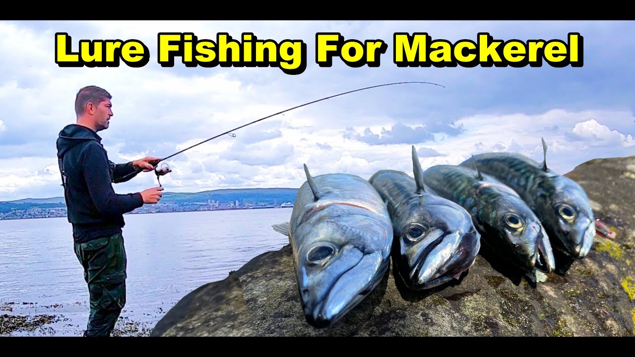 Sea Fishing 🇬🇧 UK - EASY Lure Mackerel Fishing From The Shore