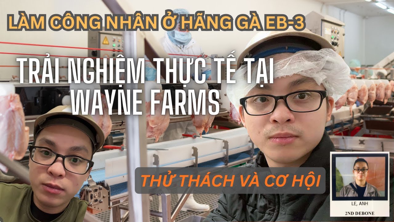 H&agrave;nh Tr&igrave;nh Định Cư Mỹ Diện EB3: Trải Nghiệm Thực Tế v&agrave; Cơ Hội Ph&aacute;t Triển Nghề Nghiệp