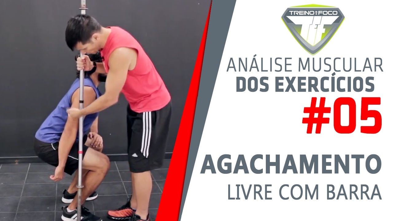 Agachamento Livre com Barra - Músculos Envolvidos - Análise Muscular dos Exercícios #5