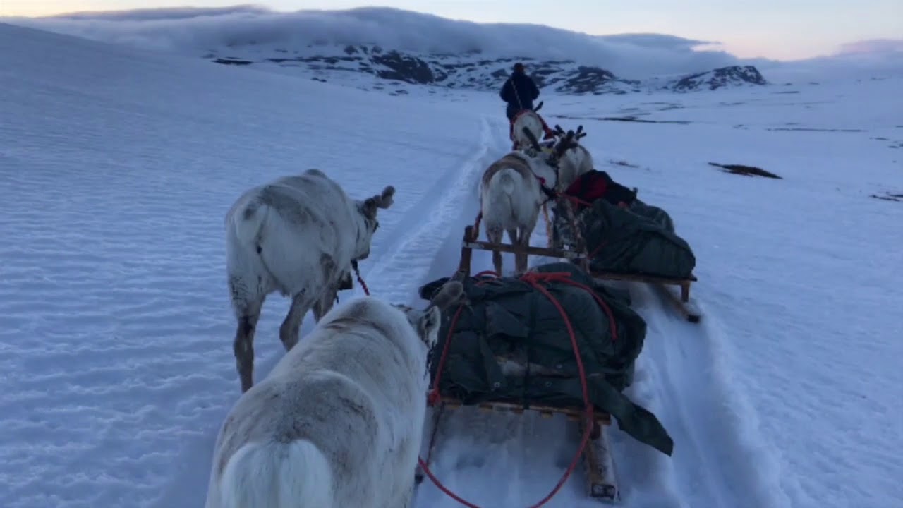 2018 05 23 Reinraide Mollisjok til Snefjord