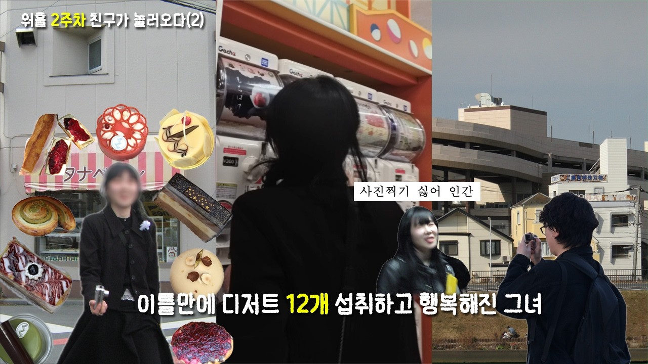 일본 여행와서 디저트 12개 먹는 친구 l 도쿄 워홀