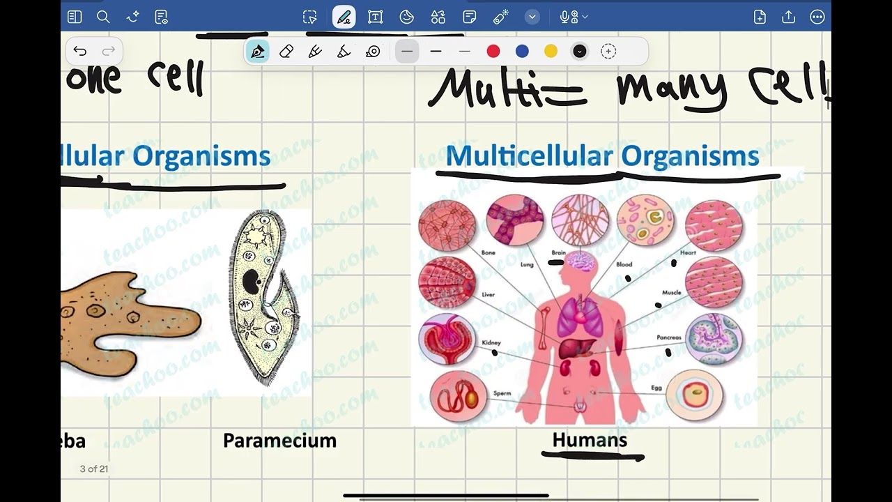 LO 1 biology G10 STEM (part1)