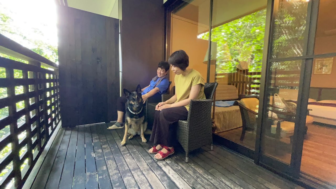 暑がりのジャーマンシェパードも超快適！とっておきの避暑地旅してきました！