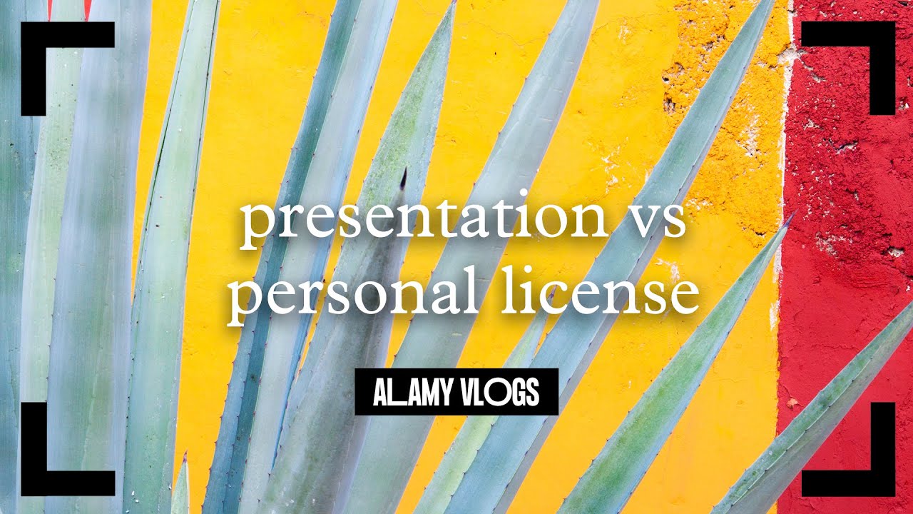 Presentation licence vs. Personal licence - Alamy Vlogs