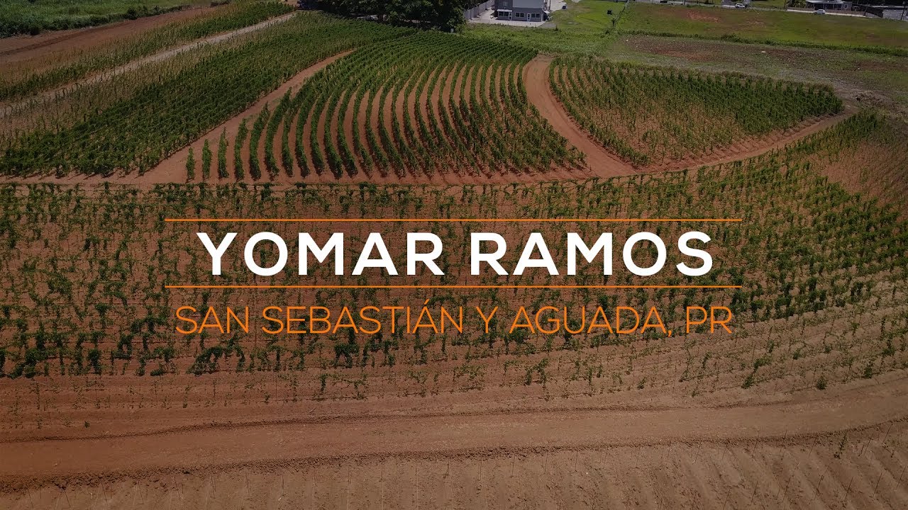 Yomar Ramos - El Ñamero de Sonador