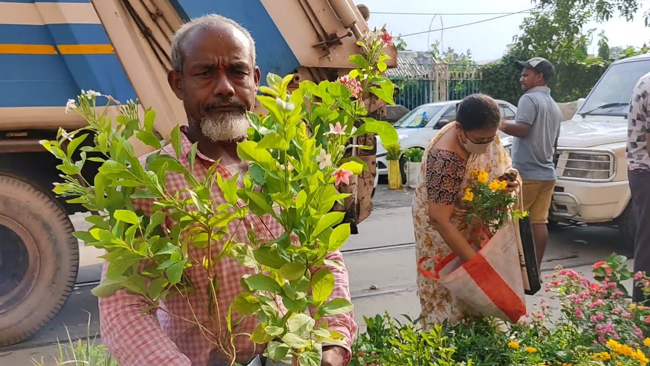 Flower Plants Market Visit || Madhabi-Lata Hibiscus Bougainvillea Rose Plant At Galiff Street