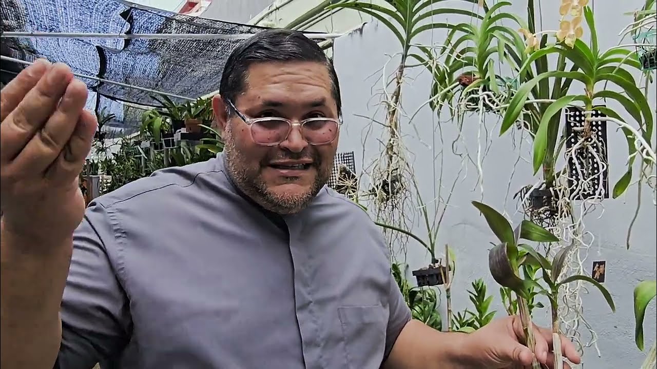 Orchids Shopper te visita (Parte 2) Sacerdote Carlos Rafael Santiago