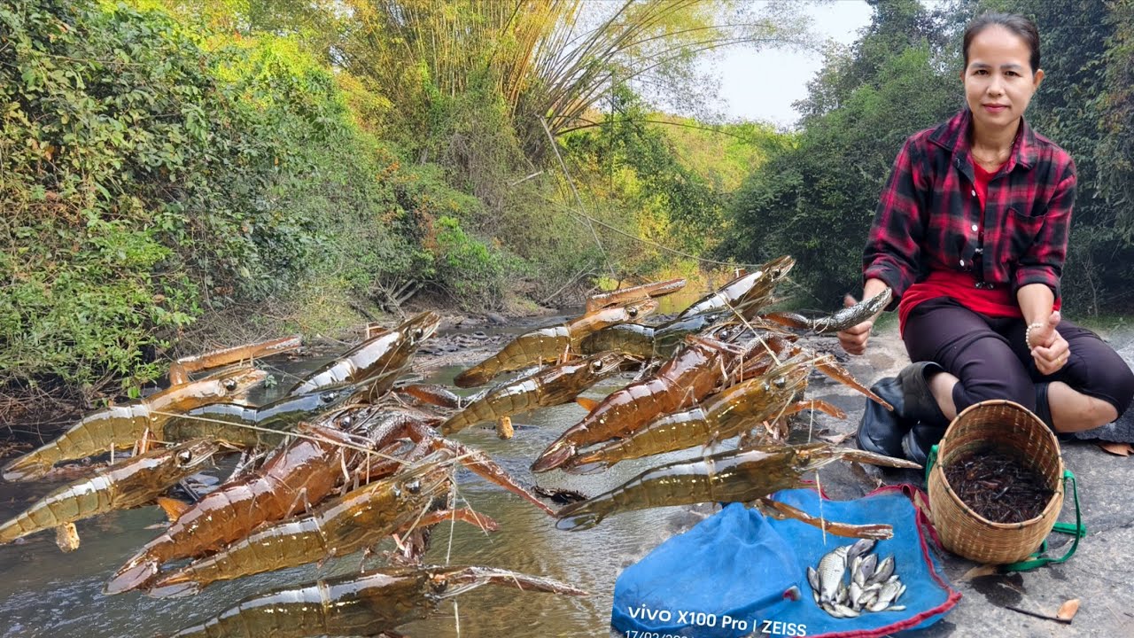 ลงดักกุ้งลำโดมหมานคือเก่ากุ้งตัวงามๆจ้า17 ก.พ 69