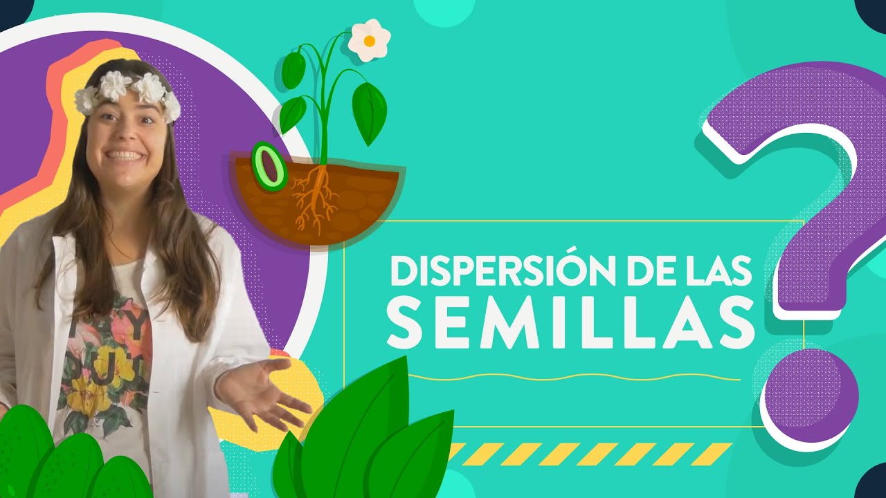 Dispersión de las semillas