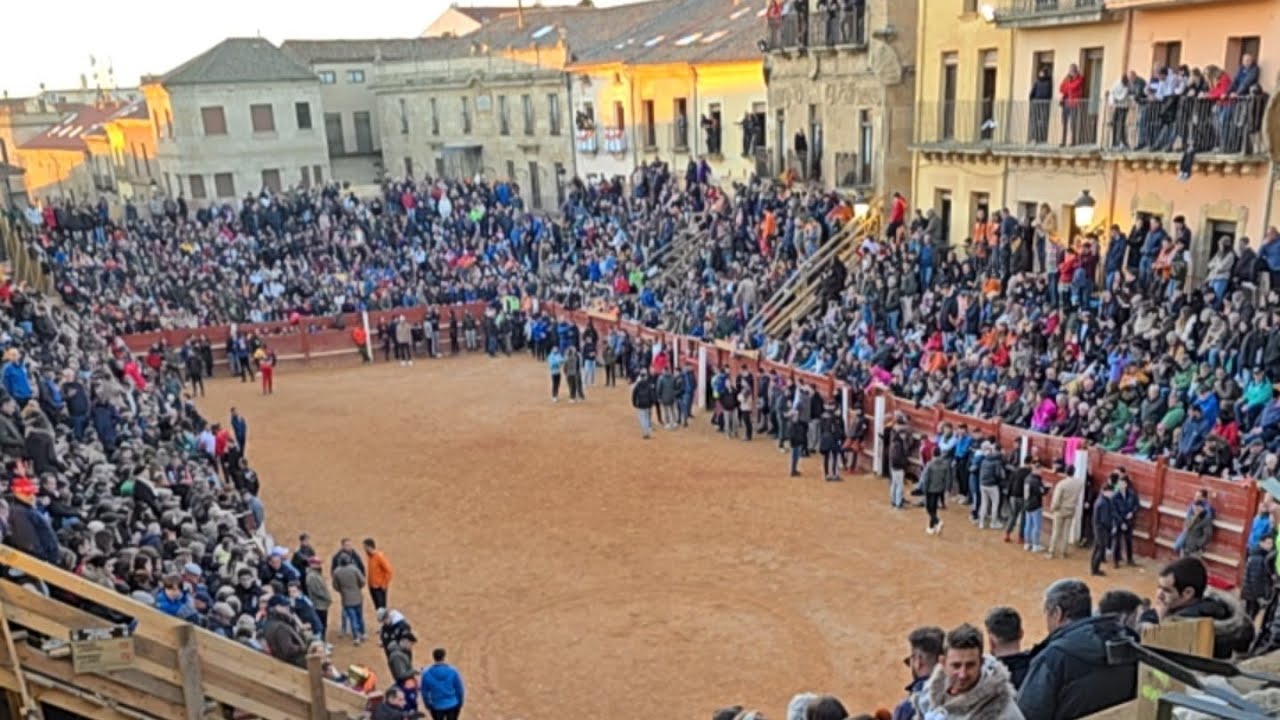 Directo ultima Tarde Ciudad Rodrigo 2026, 17 Febrero Capea