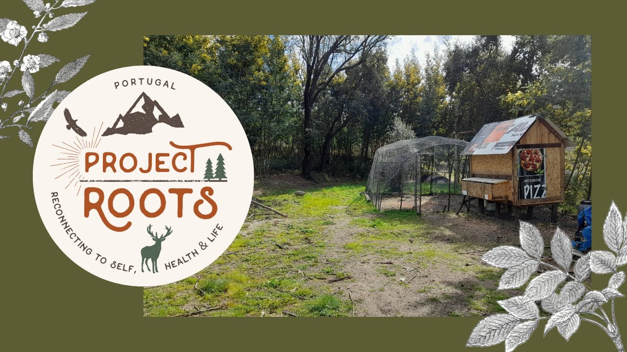 Project Roots - A Few More Steps In Being More Sustainable...