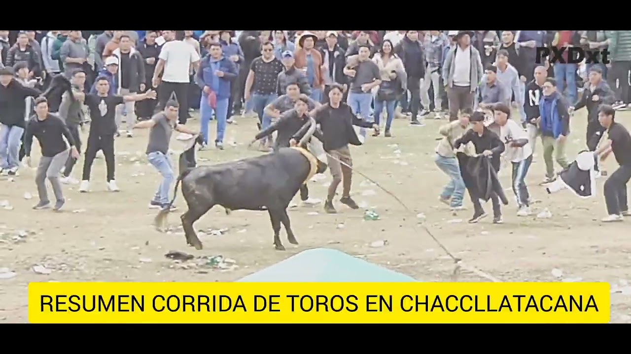 RESUMEN JALA TORO CHACCLLATACANA 2026