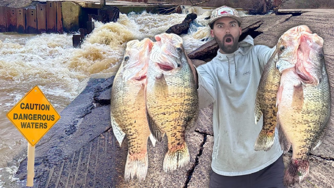 Bank Fishing MONSTER CRAPPIE in this DANGEROUS CREEK! -- Spring Fishing