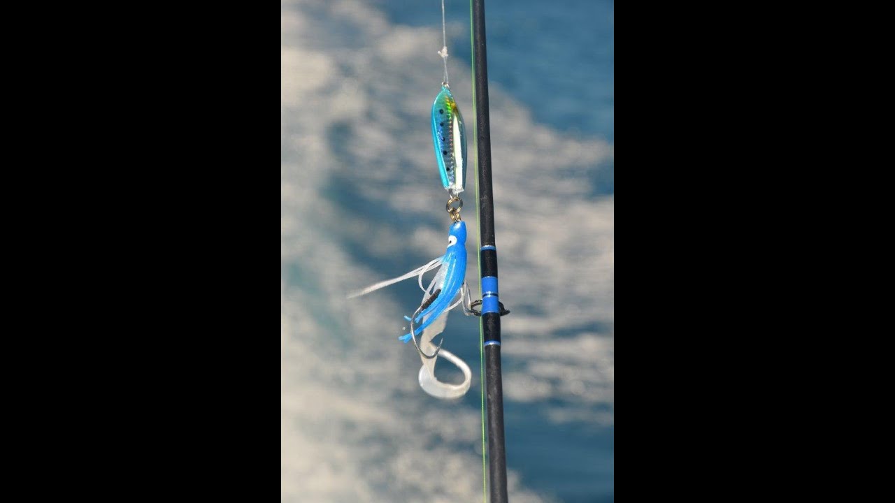 Jigging with Wire Assist rigs!!  Sea bug Ocky!!