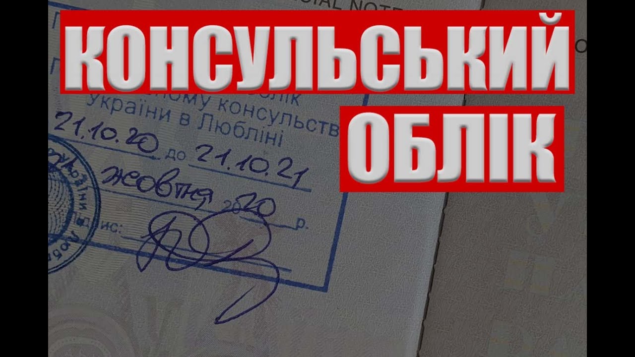В`їзд по консульському обліку в Україну з Польщі Митна декларація