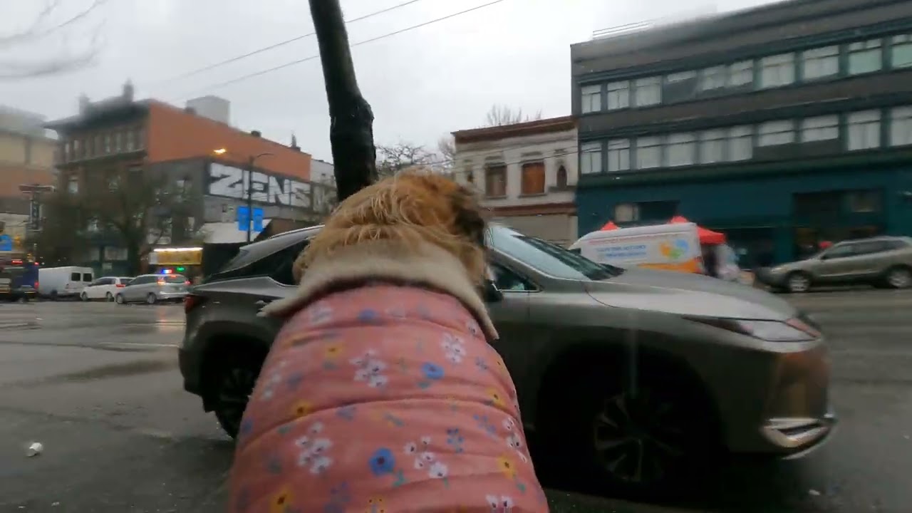 Rainy Day DTES in the Poverty Pimps Shitshow Creation 😒Fentanyl Pimps Suck