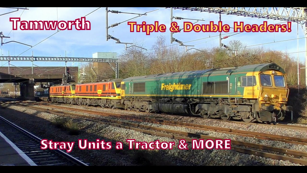 GREAT day at a BUSY Tamworth! 17th January 2026