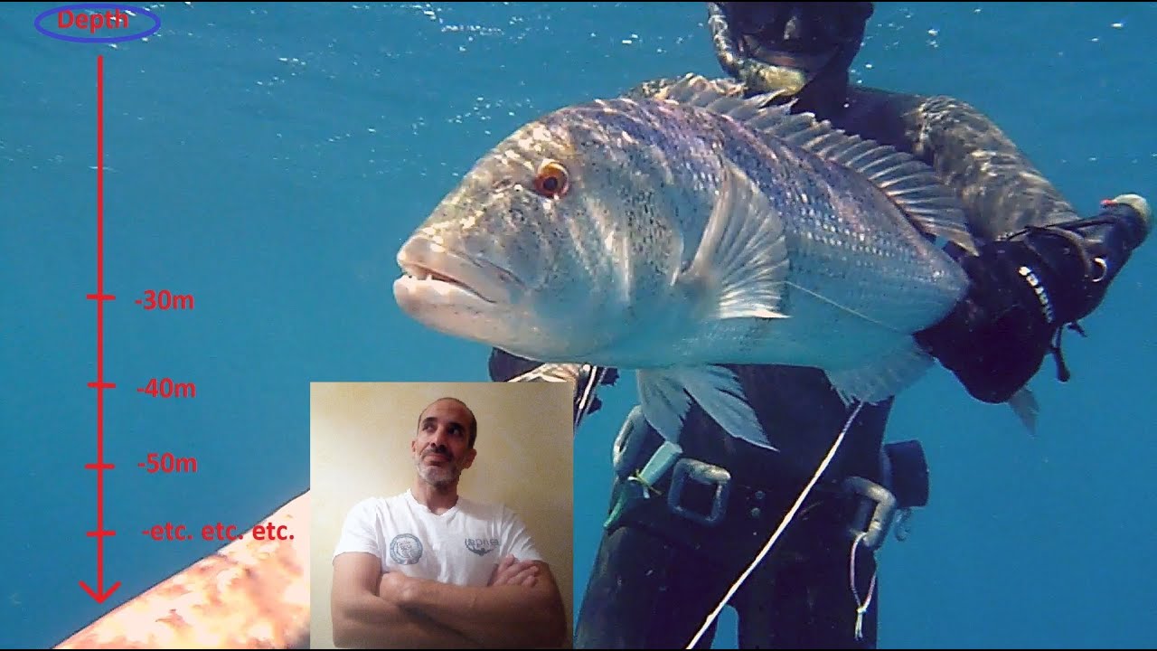 Pesca in Apnea - Dentice: Una preda per soli Profondisti?