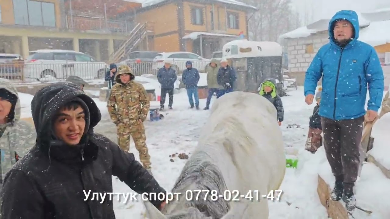 6 апреля 2025 г.