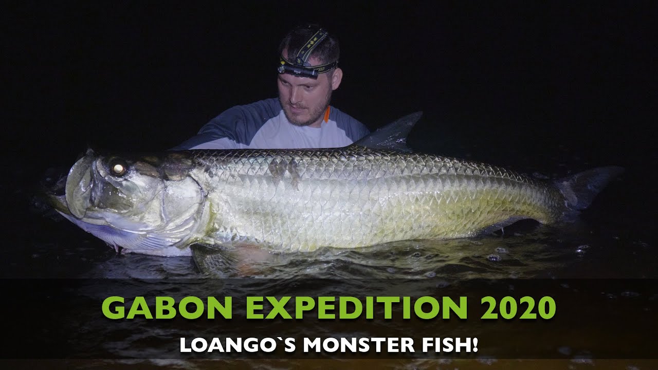 CATCHING MONSTER FISH AND HUGE TARPON IN GABON