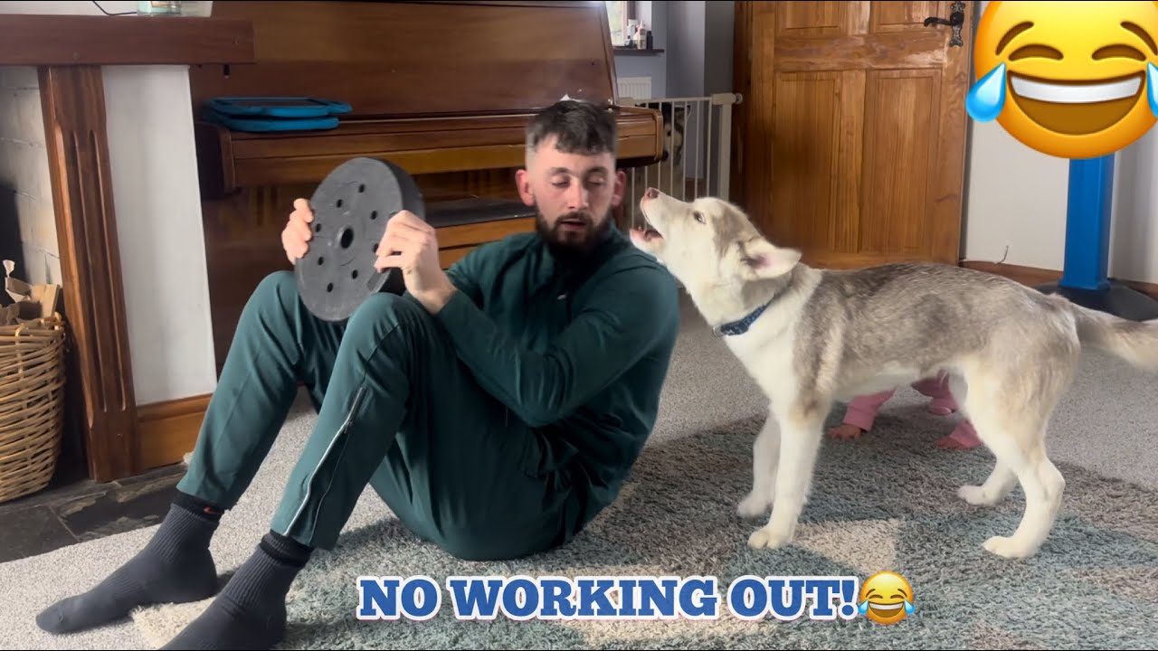 Hilarious Morning Workout FAIL With My Husky Puppy & Baby! 😂.