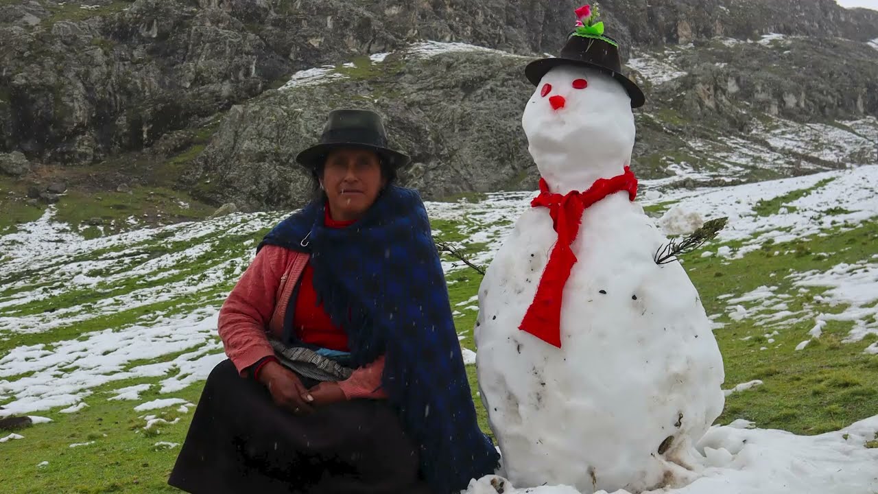 Rosaspampa-nieve
