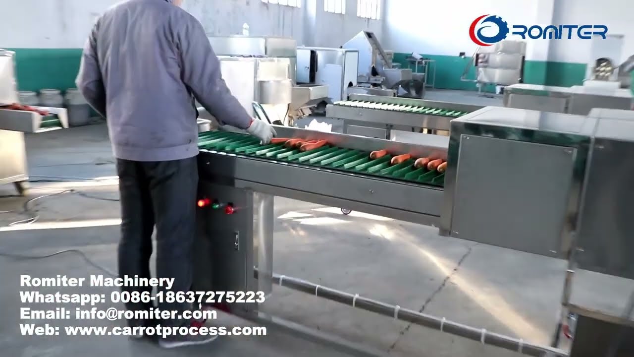 Automatic Carrot Root and End Cutting Machine