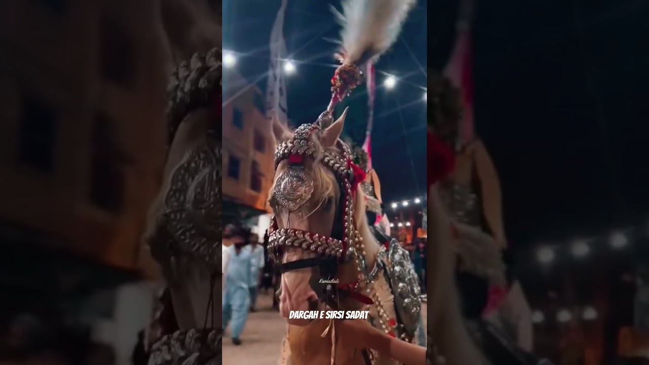 zuljanah Sirsi Sadat Azadari Muharram procession Azadari Video Every day Live Stream on YouTube