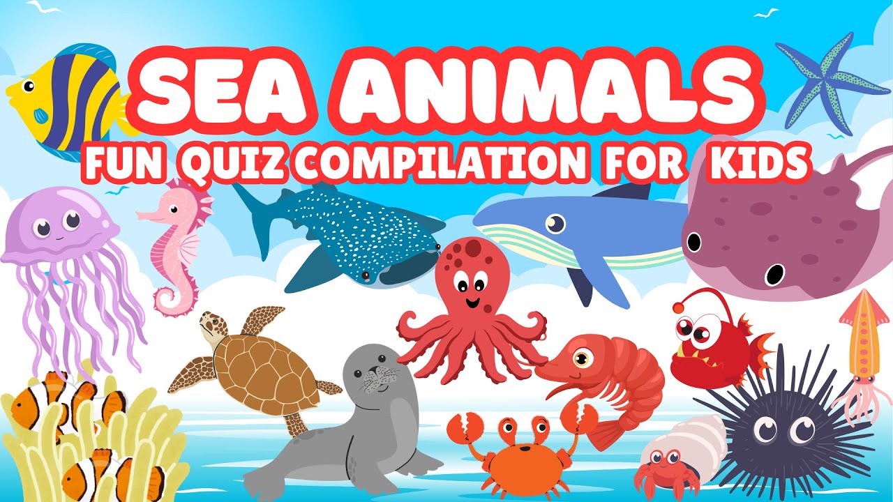 Fun Sea Animal Quiz Compilation for Smart Kids!