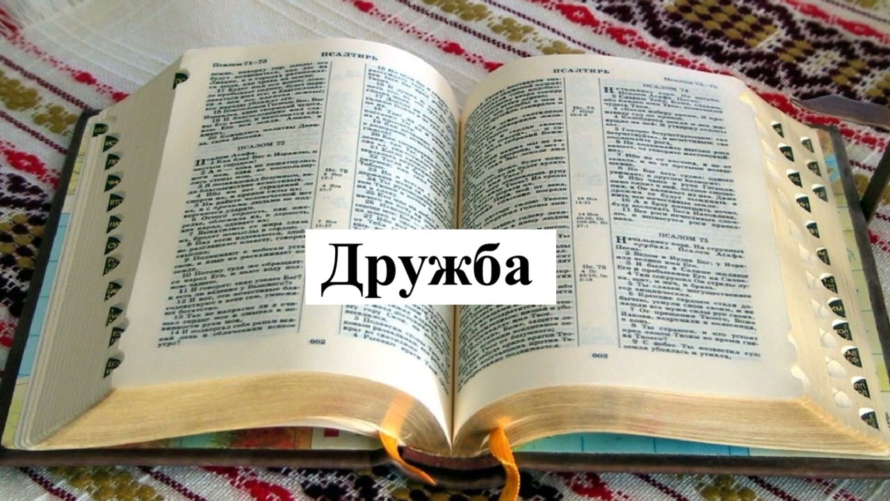 «Дружба»..