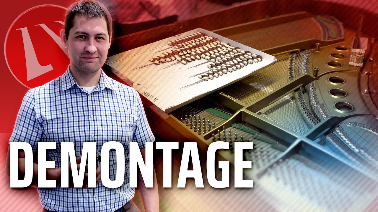 Eine Steinway & Sons M-Flügel Demontage - Meisterwerkstatt Maiwald - Werkstattblick - 10