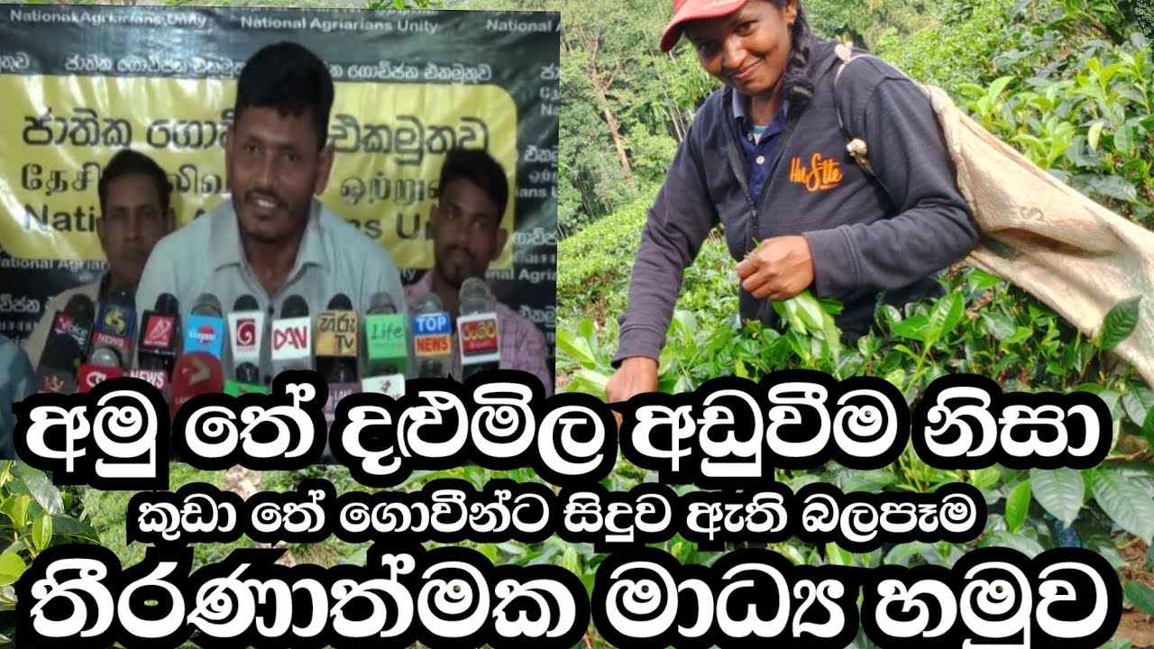 Unfairable tea leaf price drop/  තේ දළු මිල අඩුවීම 