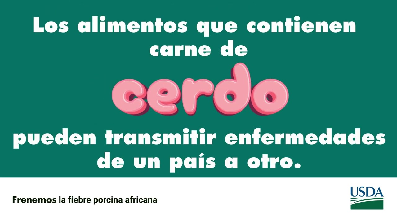 Frenemos la fiebre porcina africana