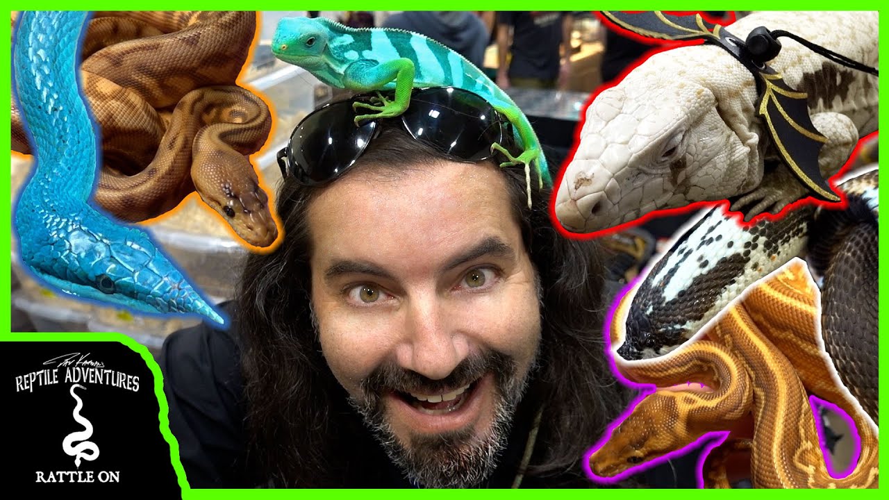 CANADIAN REPTILE BREEDERS EXPO 2022! (Biggest Reptile Expo in Canada)