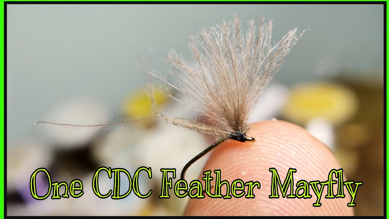 One CDC Feather Mayfly (design by Agostino Roncallo)