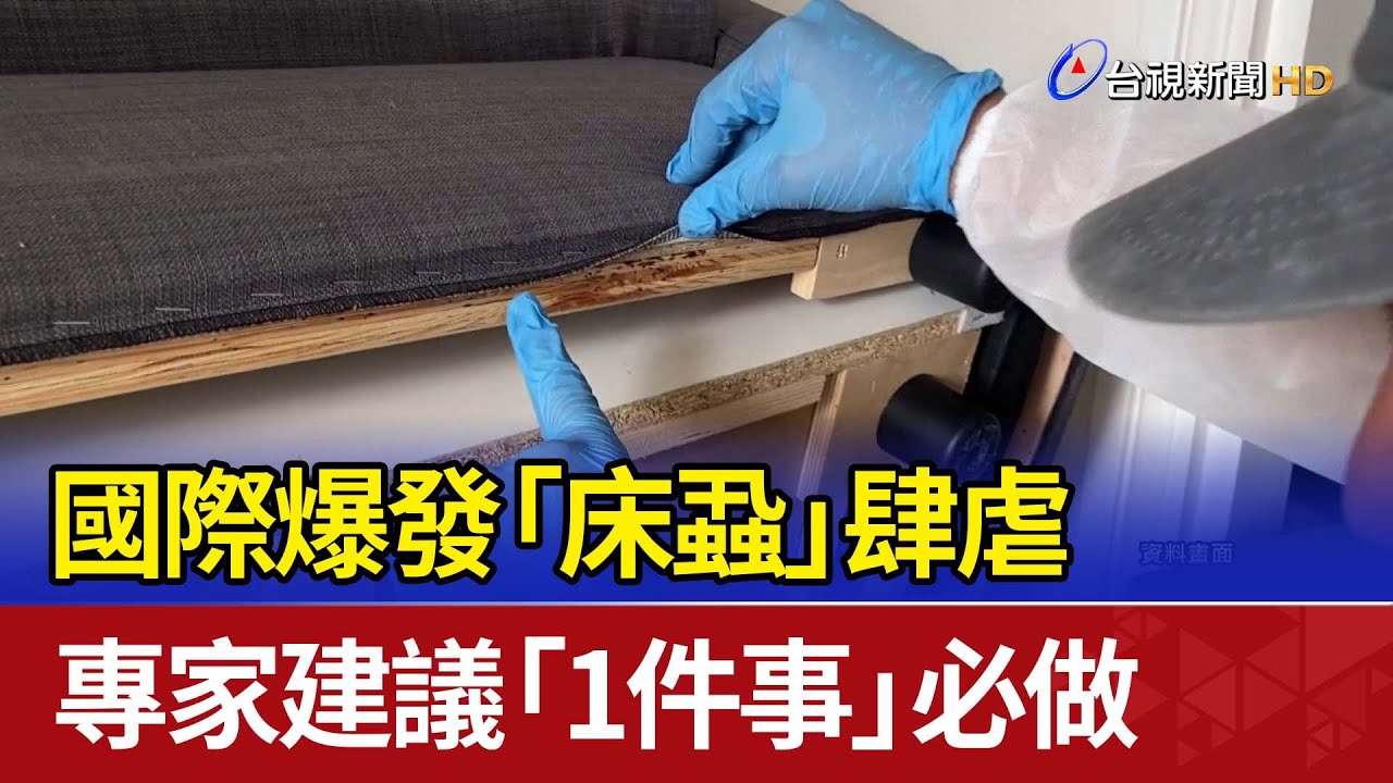 國際爆發「床蝨」肆虐 專家建議「1件事」必做