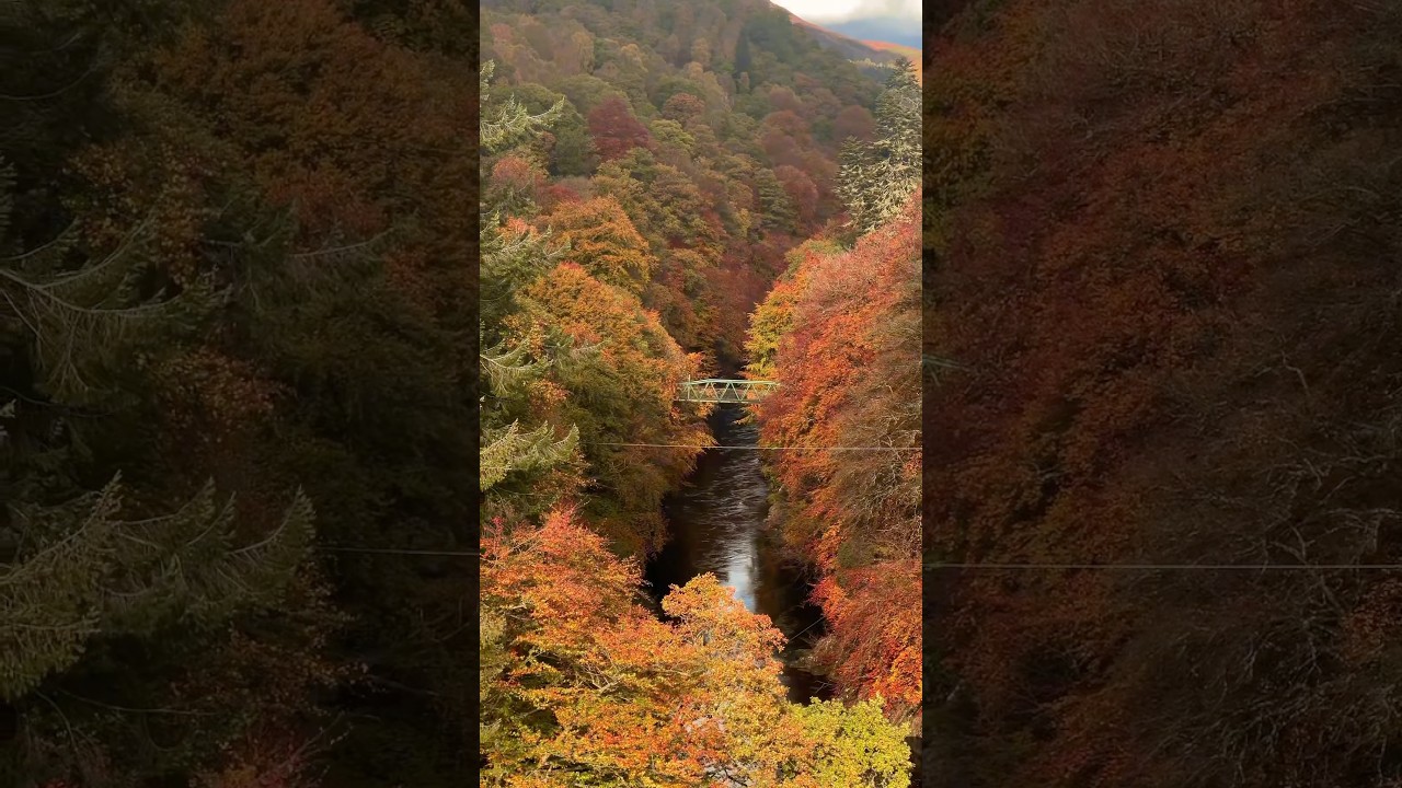 Garry Bridge, Perthshire, Scotland 🏴󠁧󠁢󠁳󠁣󠁴󠁿 #scotland #visitscotland