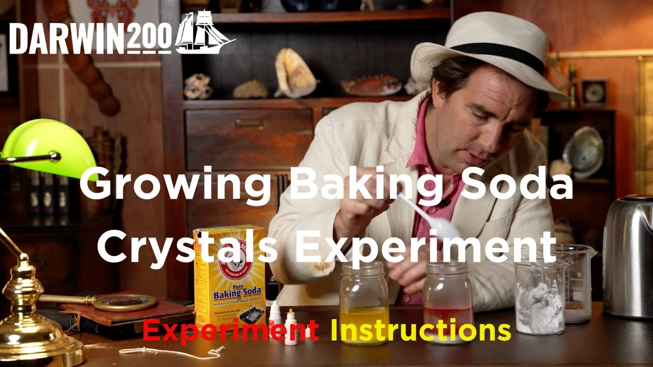 Growing Baking Soda Crystals Experiment (Segment from World's Most Exciting Classroom Episode 29)