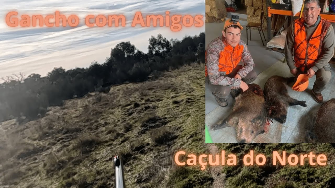 6-1 Gancho ao Javali com Amigos Época 2023/24 | Wild Boar Driven Hunt Season 2023/24