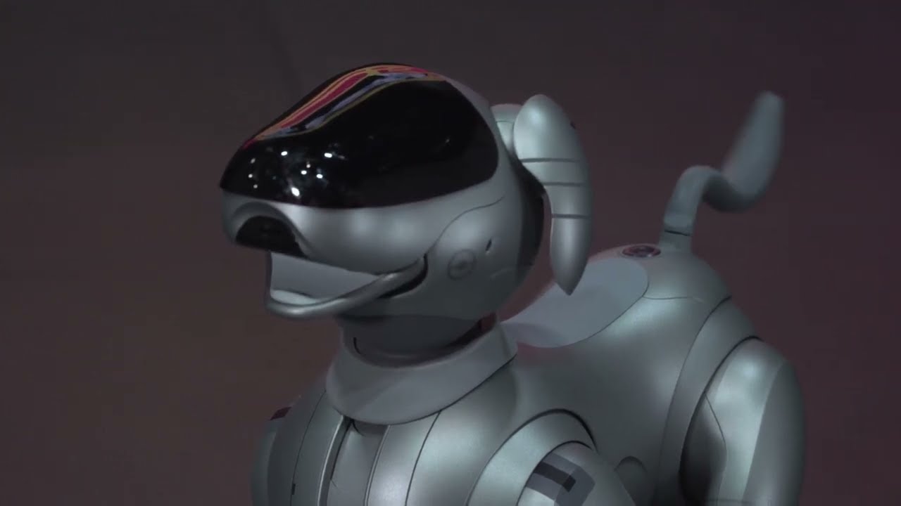 25周年記念aibo｜スペシャルムービー