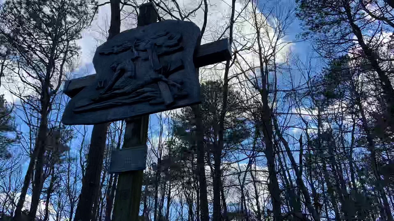 The Manorville Lady of our shrine stations of the cross