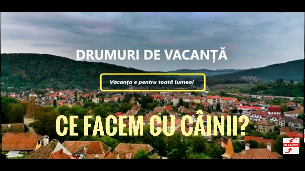 Cușca de transport și trei câini. Ce facem cu concediul? (P. 1)