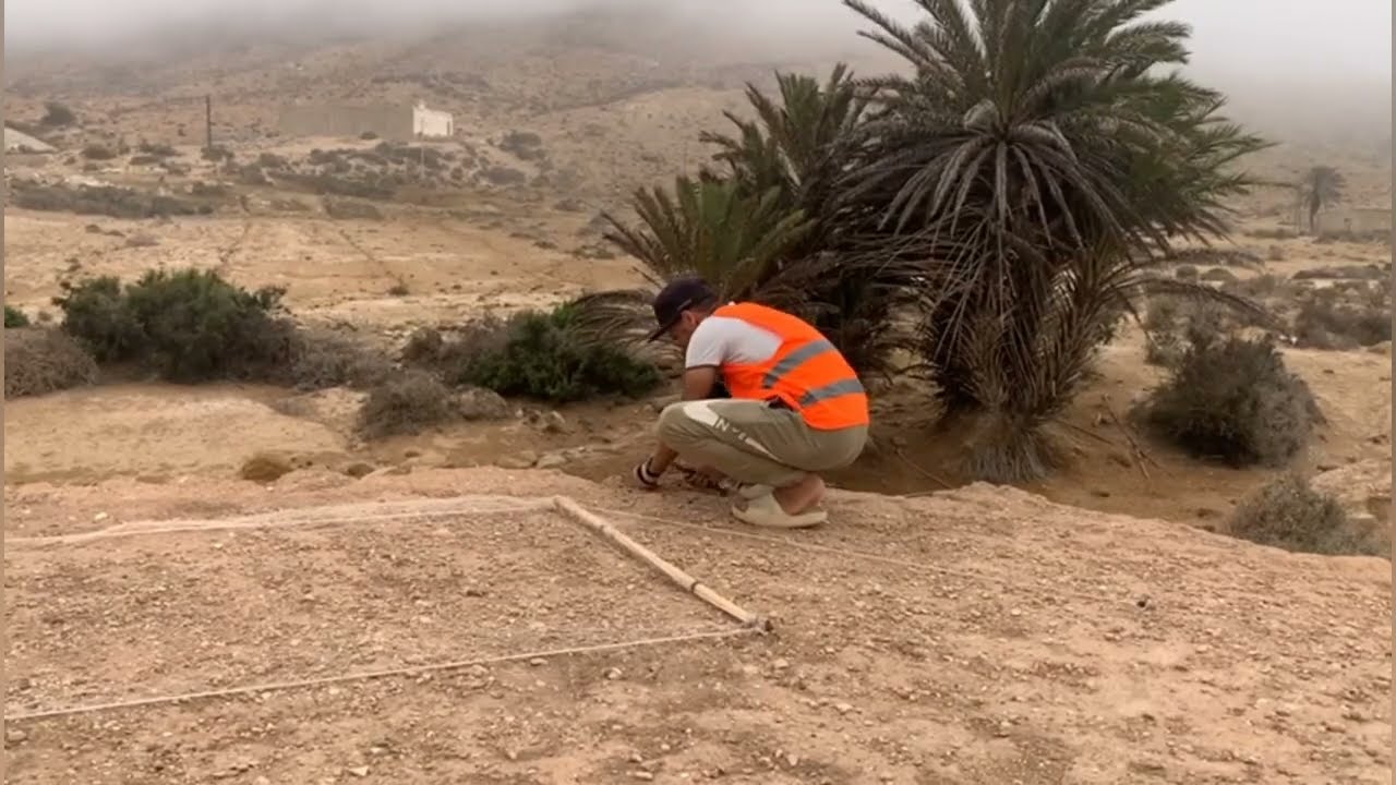 كيفية نصب الشبكة الإسبانية بنصفها الواحد مع صيد حصيلة من الحمام غير متوقعة اللهم بارك