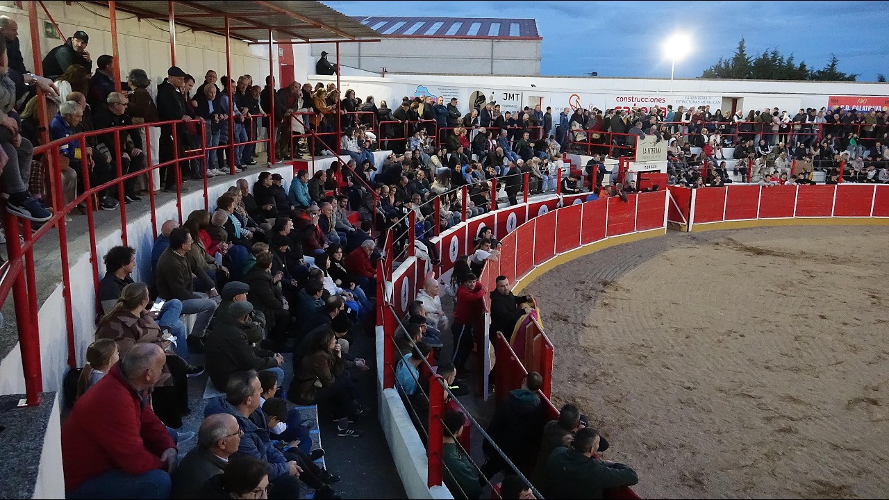 SUELTA DE VAQUILLAS EN LA PLAZA DE TOROS DE FITERO, GANADERIA “HNOS. GRACIA BLASCO”, 13-3-2026