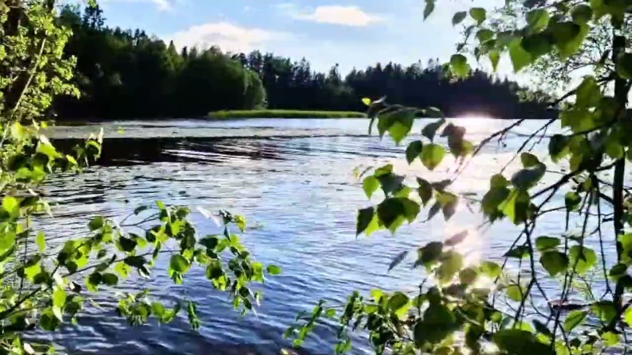 Comment ca va - Terttu Honkaranta
