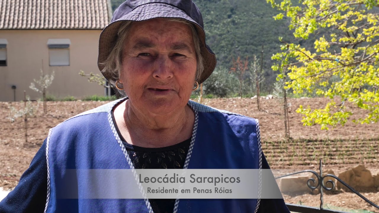 Castelo de Penas Róias