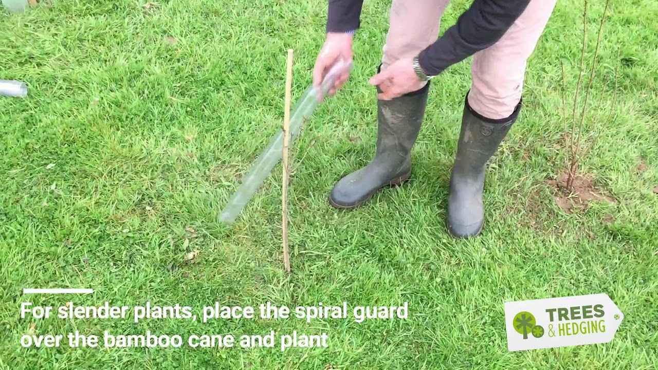 T&H HOW TO attach spiral guards and canes