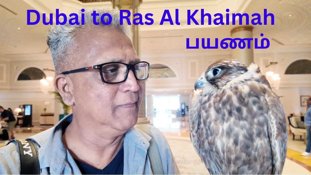 Dubai to Ras Al Khaimah Road Trip | UAE | Tamil Vlog | UAE Tourism | Falcon